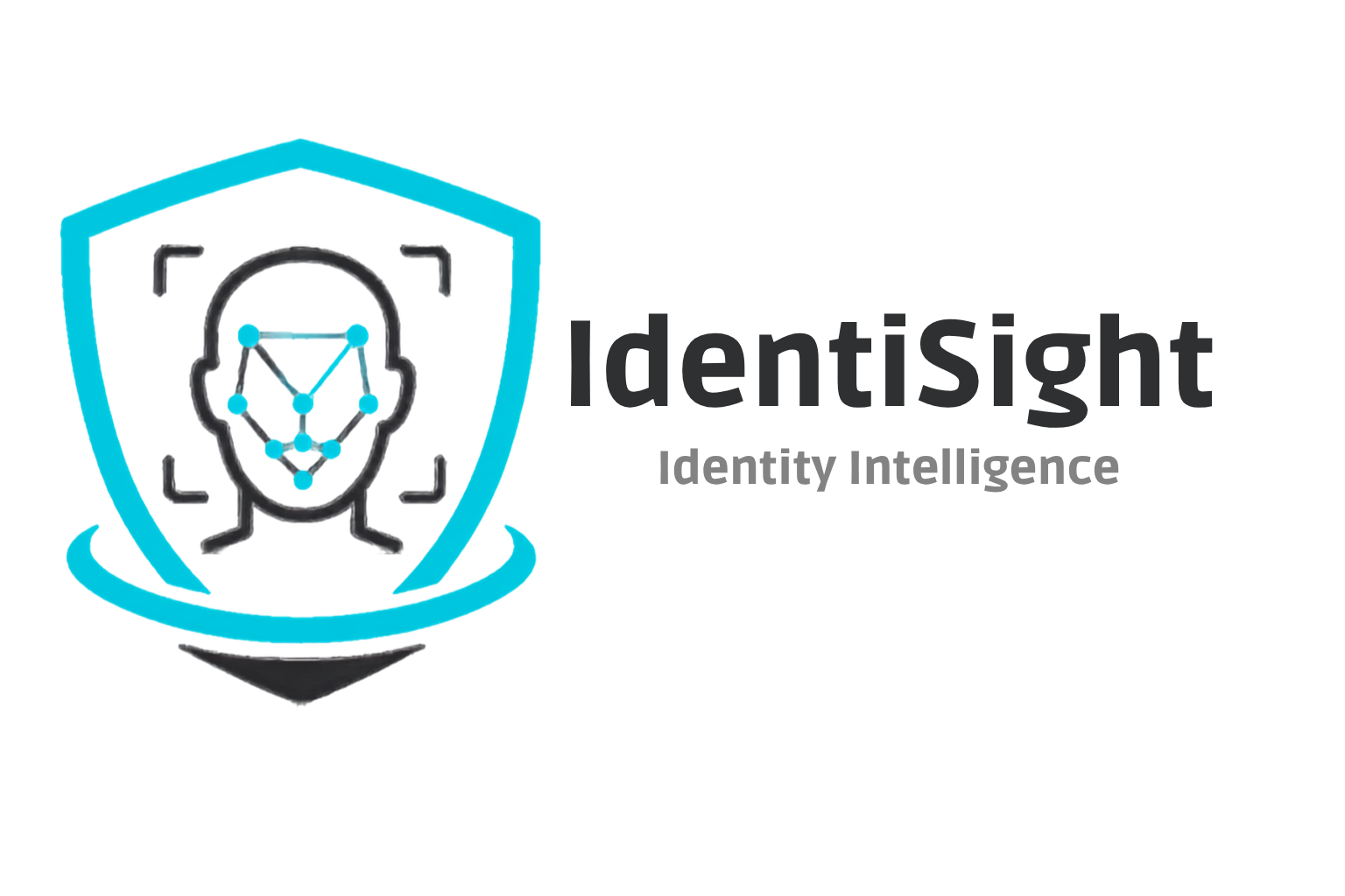IdentiSight logo